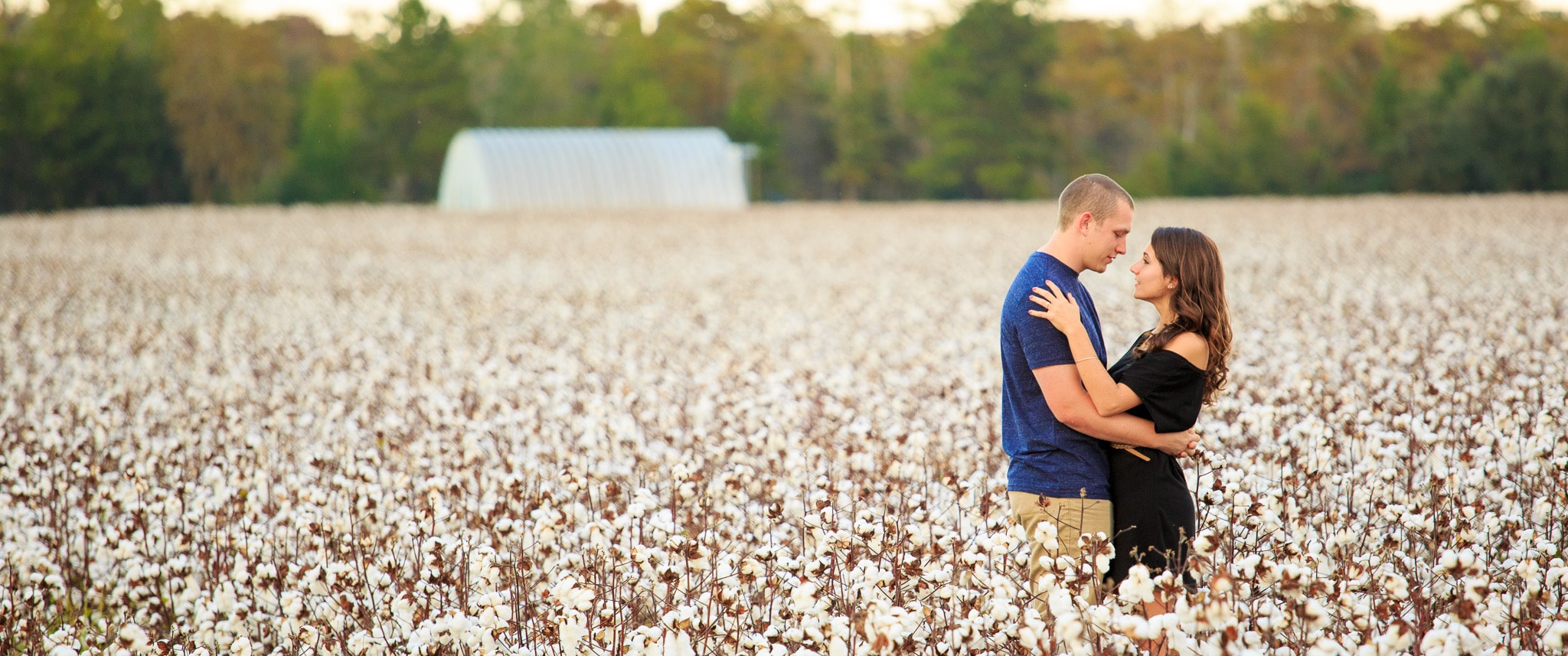 Couple kissing on the cotton field at the Upper mill plantation