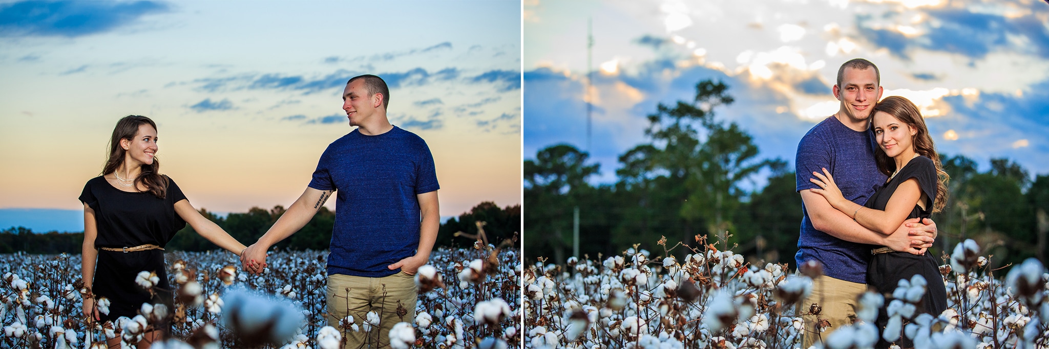 Sunset time at the Cotton Fields