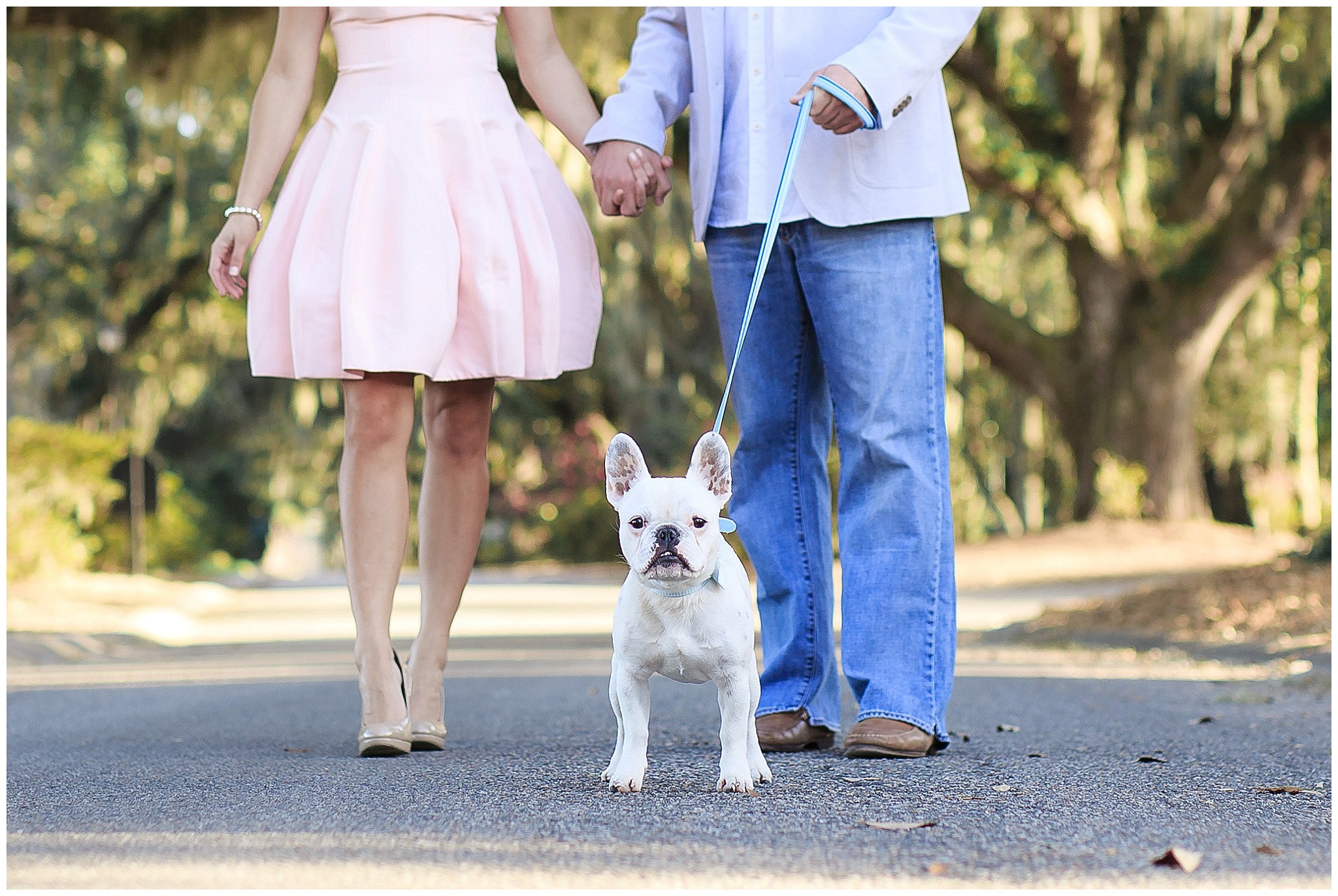 Engaged couple with their French Bulldog
