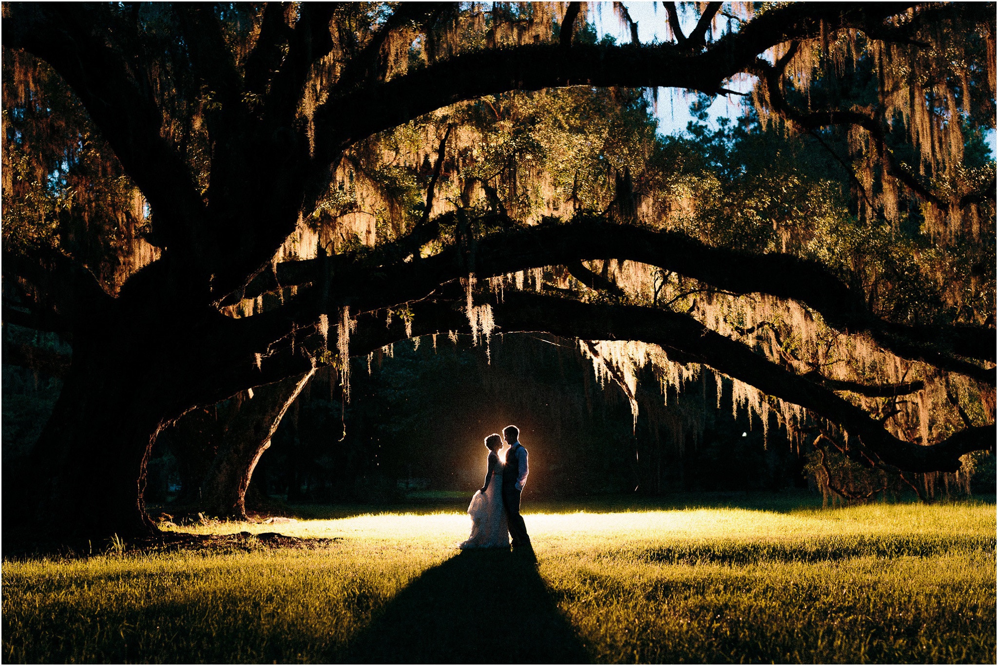Back light night time shot of newlyweds under an old oak tree Magnolia Plantation Wedding