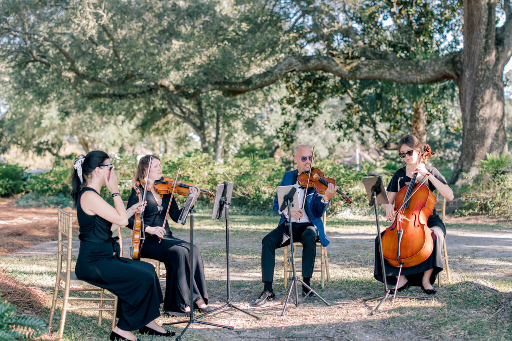 Charleston Virtuosi string quartet